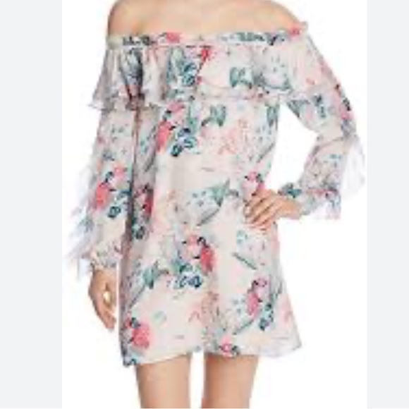 Parker Floral Isa A-line Dress - Picture 1 of 4